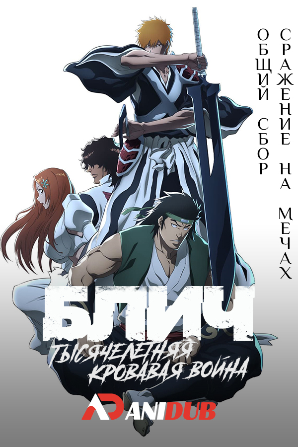 Блич: Тысячелетняя кровавая война - Конфликт ТВ-2 / Bleach: Sennen Kessen-hen - Soukoku-tan TV-2 [14 из 14]